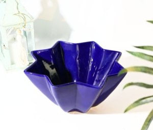 Blue decorative bowl on a white background with green leaves in the corner